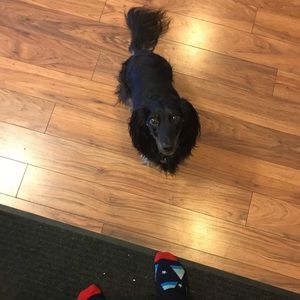 Meet your Posher, Maya